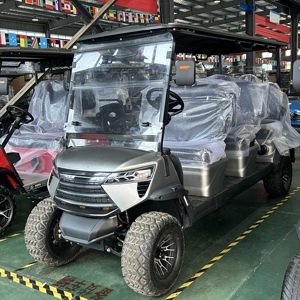Autobús Turístico Chino y Carro de Golf de Acero de 6 Asientos - Product Image 3