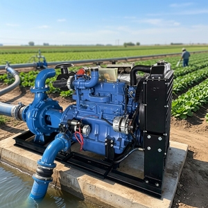 Pompe centrifuge triphasée motorisée OEM/ODM 200m à commande automatique, construction en fer, pour irrigation et lutte contre les inondations, débit 200-1000m³/h - Product Image 5