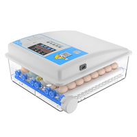 Couveuse à batterie 12 volts Couveuse intelligente 36 œufs entièrement automatique pour poussins à couver