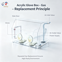 Chambre à vide de paillasse transparente GS-004-A en acrylique avec support pour gaz inertes pour usage en laboratoire, 2 gants