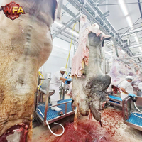 Ligne d'abattage halal pour bovins, équipement de boucherie, machines d'abattage de bovins, projet d'abattoir, usine de traitement de la viande de bœuf avec convoyeur