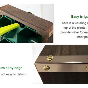 Cadre photo, pot de fleurs, jardin vertical, décoration murale pour salon, décoration intérieure - Product Image 5