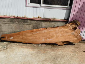 Material de losas de madera maciza <span class=keywords><strong>Kauri</strong></span> Live Edge - Product Image 3
