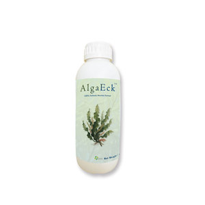 Extrait d'algues Ecklonia Maxima Enzymatique Organique Acide Alginique Liquide Super <span class=keywords><strong>Engrais</strong></span> de Croissance pour Cacao Longan Goyave - Product Image 1