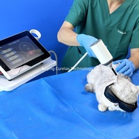 Système de thérapie laser vétérinaire multi-longueurs d'onde classe IV 30W 60W pour le soulagement de l'inflammation chez les chiens et les chats