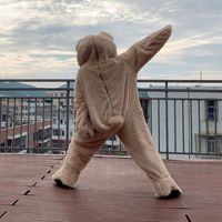 Costumes de cosplay d'ours animal les plus vendus, costumes de mascotte d'ours en peluche amusants pour Halloween, carnaval, dessin animé, pour adultes
