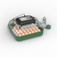 Incubateur à œufs automatique de 34 œufs, incubateur à œufs avec contrôle automatique de la température et de l'humidité pour l'éclosion des œufs de poulet