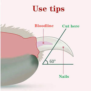 Professional Stainless Steel Led Light Pet Nail Clipper <b>Dog</b> Cat Claw Grooming <b>Scissors</b> - Product Image 6