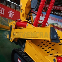 Espace étroit petite Mini grue araignée grues spyder mini grue araignée avec stabilisateur télescopique hydraulique