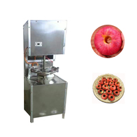 Hoge kwaliteit best verkochte fruitpitverwijderingsmachine, kersenpitverwijderingsmachine, olijfpitverwijderingsmachine met fabrieks prijs