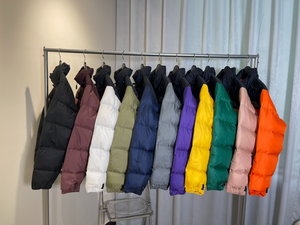 Veste d'<span class=keywords><strong>hiver</strong></span> unisexe style 1996, <span class=keywords><strong>manteau</strong></span> matelassé brodé 700 cuin, 90% duvet de canard blanc, vente en gros, livraison directe - Product Image 6