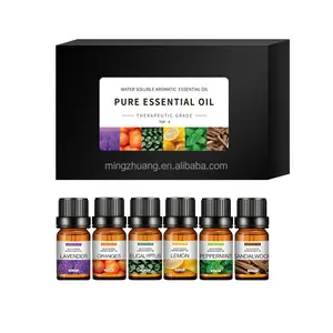 Penjualan terlaris minyak esensial bunga murni 6 buah Set dalam kotak hadiah aman untuk Diffuser penyegar udara aromaterapi