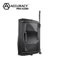 Enceinte active portable rechargeable USB Accuracy Pro Audio CSM15AMFQ-V2BP-BT 15 pouces 100W pour la maison