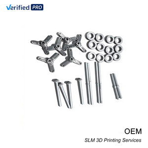 Servicios de Impresión 3D SLM con Molde Metálico Personalizado para Diseños de Acero Inoxidable - MOQ 1 Pieza, Prototipos Funcionales en 3-7 Días - Product Image 1