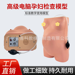 Modèle avancé d'examen de grossesse assisté par ordinateur, méthode de palpation obstétricale en quatre étapes, auscultation du rythme cardiaque fœtal - Product Image 4