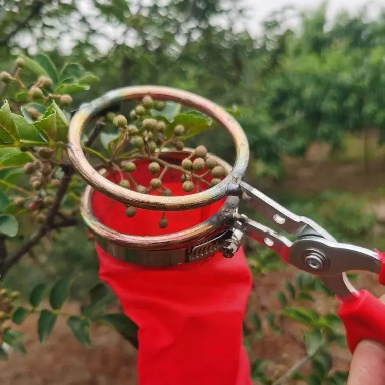 Automatisches Pflücken von sauren Jujube-Knospen artefakten für Gartengeräte Es nimmt die Früchte und Mini-Thigns im Baum