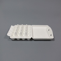Boîte de rangement pour œufs en pulpe de canne à sucre, 20 pièces, antichoc et résistante aux bris, carton à œufs blanc, écologique et biodégradable