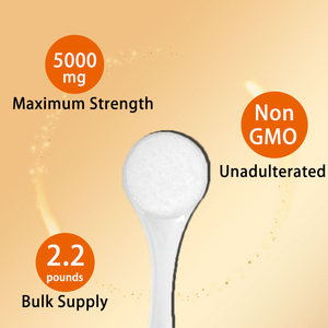 OEM ODM High Quality 500g <strong>Creatine</strong> Monohydrate Powder Wholesale for Global Sports Nutrition Brands Dietary Supplement - Product Image 6