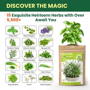 Mélange d'herbes anciennes, 15 sachets, plus de 4500 graines, non-OGM, <span class=keywords><strong>basilic</strong></span>, menthe, <span class=keywords><strong>ciboulette</strong></span>, pour jardin d'herbes aromatiques intérieur/extérieur - Product Image 2