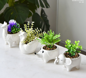 Stile nordico su misura bianco in ceramica fioriera simpatico cartone animato a forma di Multi-animale per la decorazione della casa giardino succulento <span class=keywords><strong>Cactus</strong></span> vasi di fiori - Product Image 3