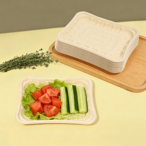 Party Plate Food Grade Disposable Bamboo Pulp Square Custom Logo Graphic Design Bulk Packaging for Cake and Dessert
