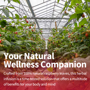 بيع بالجملة ورقة التوت الأحمر OEM/ODM العشبية - Product Image 5