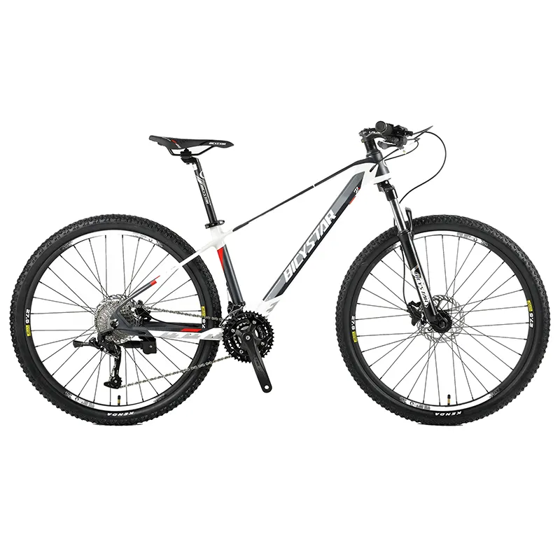 Vélo bicicleta VTT de 29 polegadas trek vtt suspension complète 29 sepeda vtt cycle