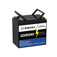 Batterie LiFePO4 12,8 V 65 Ah à Vente Directe Usine avec BMS Intelligent, Surveillance Bluetooth, 4000 Cycles, pour Onduleur UPS, Éclairage Solaire Public, Certifiée CE