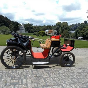 Carrozza Elettrica Nera di Lusso a 4 Ruote per Trasporto Matrimoniale - Qualità Reale per Natale - Product Image 4