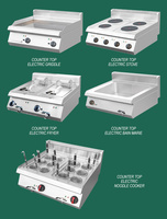 Stasiun Pemasak Pasta Listrik/Gas Stainless Steel 1500W Mesin Perebus Mie Peralatan Memasak Esensial