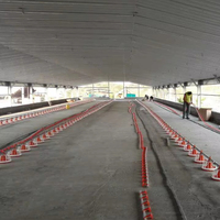 Nuevo Sistema de Línea de Alimentación y Bebederos de Tetina para Aves de Corral en Granjas de Engorde con PP/Acero Inoxidable y Caudal de 80-120 ml/min
