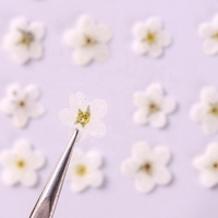 Groothandel DIY handgemaakte nagelkunst materialen gedroogde bloemen gedroogde vergeet-mij-nietjes geperste bloemen voor bladwijzers en telefoonhoesjes
