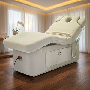 Mesa de Masaje y Tratamientos Faciales Eléctrica Avanzada con Diseño Ajustable por Control Remoto y Acolchado Grueso para Clínicas de Belleza - Product Image 1