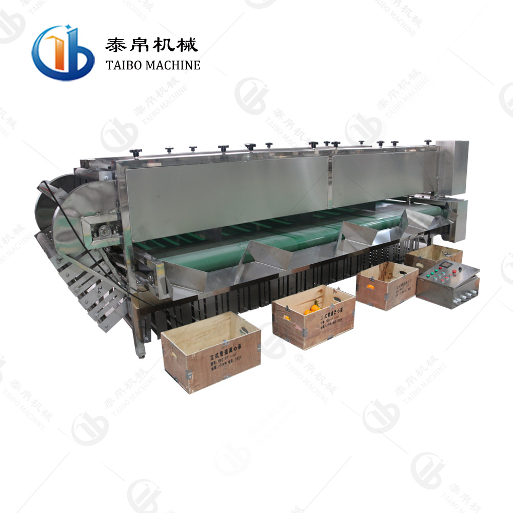 От 2 до 5 лет/h 25-125 мм овощи фрукты Apple оранжевый картофельный лук размер Сортировальная машина