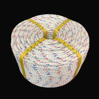 Cuerda de Polipropileno (PP) de Alta Resistencia, Duradera, Impermeable y Resistente a los Rayos UV para Cercas, Empacado de Heno, Remolque y Camping