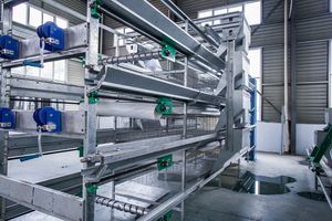 <span class=keywords><strong>Grossiste</strong></span> Design Cage pour poules pondeuses en batterie Poulailler pour poules pondeuses Ferme avicole Cages pour poulets - Product Image 2