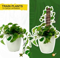 Bâton de mousse empilable en Coco Coco Totem Creepers Support de plante 20 fruits mouche autocollant Twist Ties Monstera plantes en pot pousser vers le haut