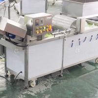 Fengxiang WA-1000 RVS Sla- en Babybladwasmachine Ozon Luchtbel Trommel 1000-1500KG/H Capaciteit CE