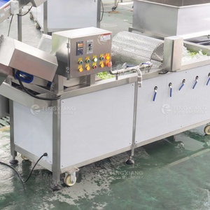 Machine à laver les feuilles de laitue WA-1000 avec ozone, bulles d'air et tambour - Product Image 6