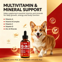 Vente en gros, usine chinoise, OEM, marque privée, gouttes de vitamines pour le soutien immunitaire quotidien