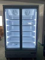 Congélateur commercial vertical à double porte vitrée grande capacité, vitrine de présentation automatique à dégivrage automatique pour supermarché