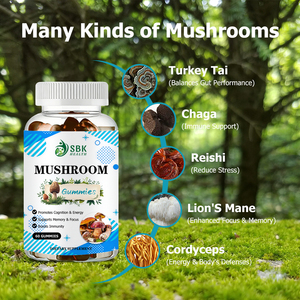 Hot Sale Mushroom Gummies Lions Mane Immune Support Sofnitive Improvement Health <b>Supplement</b> Increase Boosts Tmmunity Gummies - Product Image 6