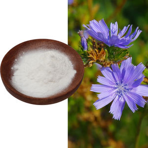 Extrait de racine de chicorée soluble dans l'eau de qualité alimentaire fibre de chicorée inuline 99% fibre alimentaire d'inuline de racine de chicorée - Product Image 1