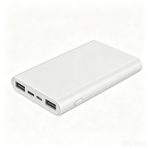 Batería Externa Besiter Mini de Alta Capacidad con Carga Rápida de 10W, Doble USB Tipo-C, Batería de Polímero de Litio, Diseño Delgado con Micro USB - Product Image 3