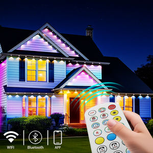 IP67 RGB 24V LED 点状灯户外花园 PVC 轨道灯圣诞灯 6000K 日光色 2 年保修永久家居灯 - Product Image 3