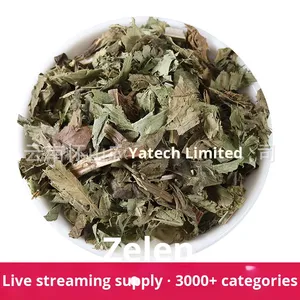 Dragón Jujube agua fragante pequeño orégano Tigre <span class=keywords><strong>fino</strong></span> orégano hierba Peperomia hoja té seco venta al por mayor procesamiento crudo - Product Image 6