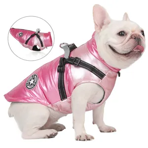 Veste chaude personnalisée pour petits chiens, petit chien isolé, imperméable, coupe-vent, manteau de pluie d'extérieur