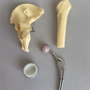 Modèle anatomique en silicone de remplacement d'articulation de la hanche pour la formation pré-chirurgicale en sciences médicales - Product Image 3