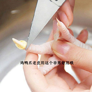 Pincettes en acier inoxydable pour arracher les plumes de poulet, de canard, les poils de porc, les arêtes de poisson, les outils pour la viande et la volaille - Product Image 4