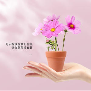 Mini kit de plantation pour enfants, expérience scientifique, observation, fleurs en pot, jouet de culture, unisexe, 4-6 ans - Product Image 4